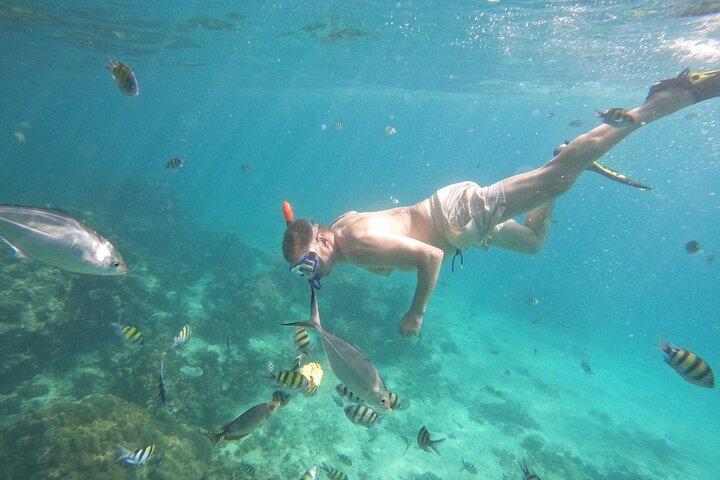 Small Group Phi Phi Islands Sunrise Tour with Seaview Lunch