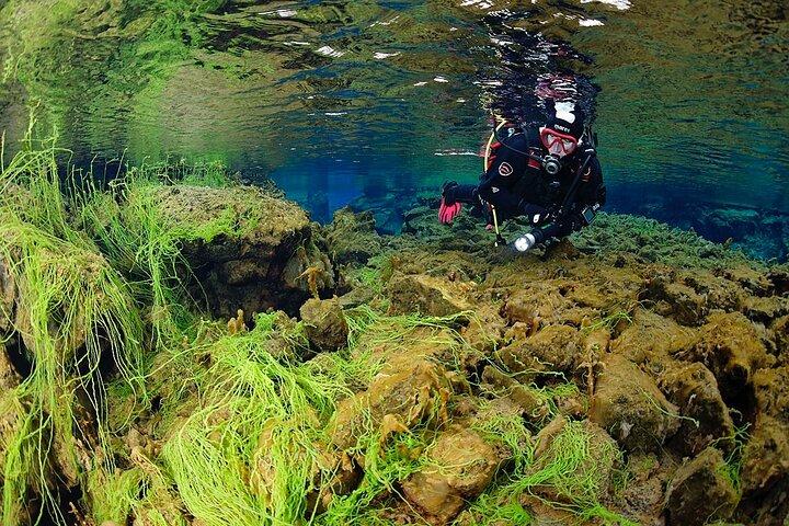 Silfra: Diving Between Tectonic Plates and Pick Up from Reykjavik
