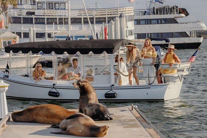 Crucero Privado en Embarcación : Vino, Charcutería y Avistamiento de Leones Marinos