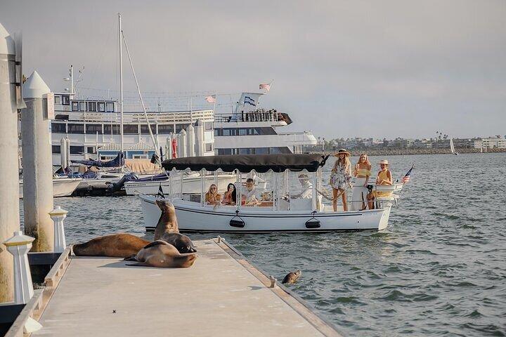 Crucero Privado en Embarcación : Vino, Charcutería y Avistamiento de Leones Marinos