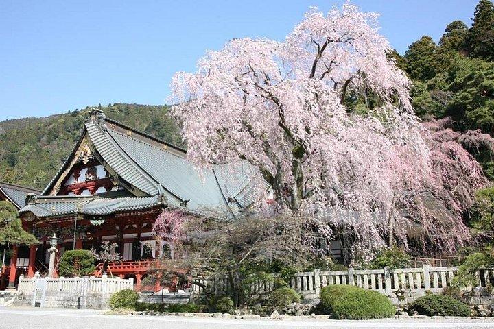 七面山での 2 日間のプライベート ガイド付き一晩ハイキングと仏教寺院滞在