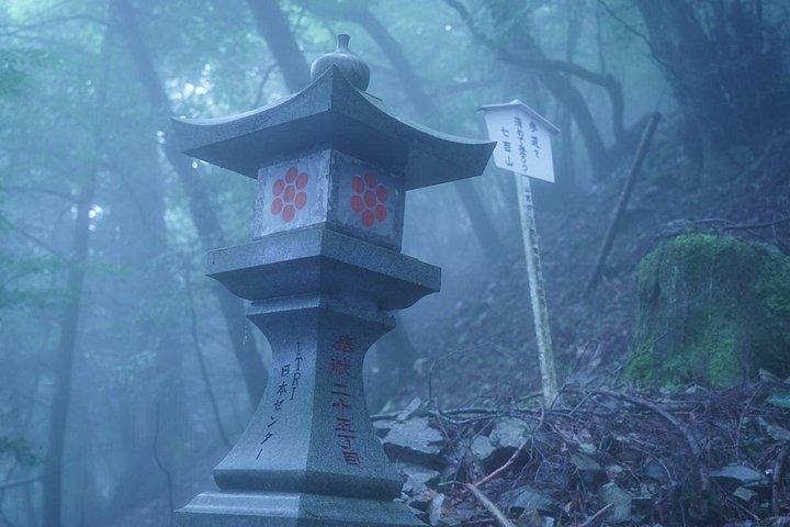 七面山での 2 日間のプライベート ガイド付き一晩ハイキングと仏教寺院滞在