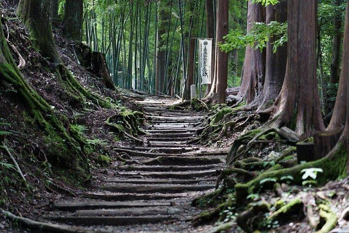 七面山での 2 日間のプライベート ガイド付き一晩ハイキングと仏教寺院滞在