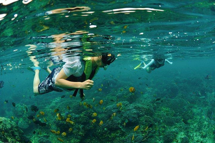 Die ultimative Lembongan Tagestour