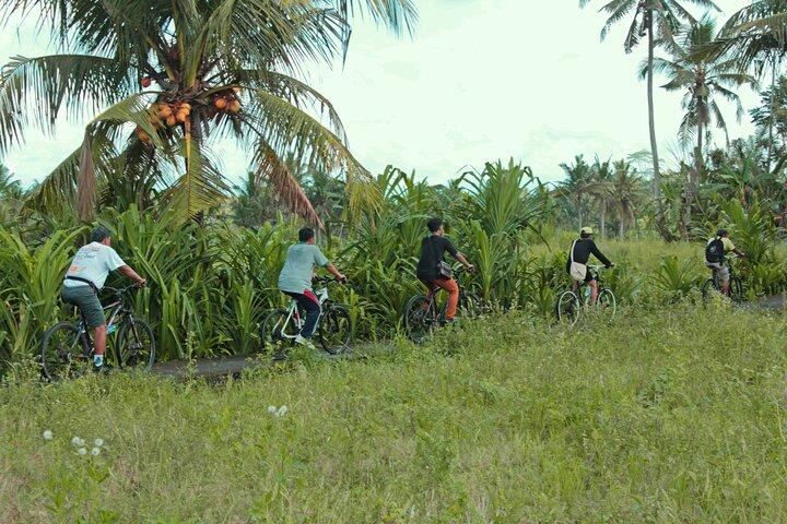 Tour Ecociclístico por el Campo de Bali incluye almuerzo