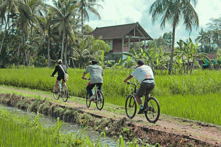 Bali Countryside Eco Cycling Tour include Lunch