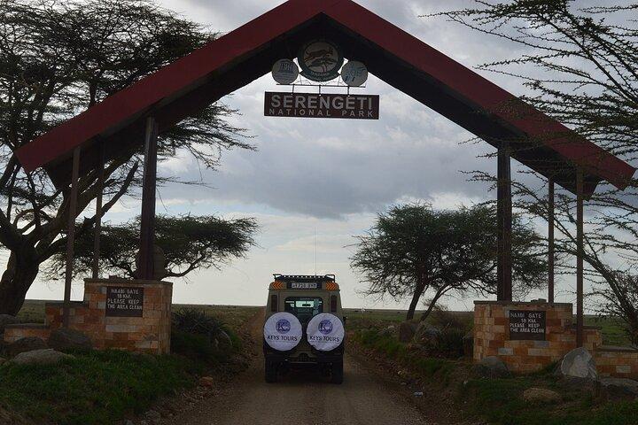 6 dages safari: Manyara, Ngorongoro, Serengeti og Tarangire National Park