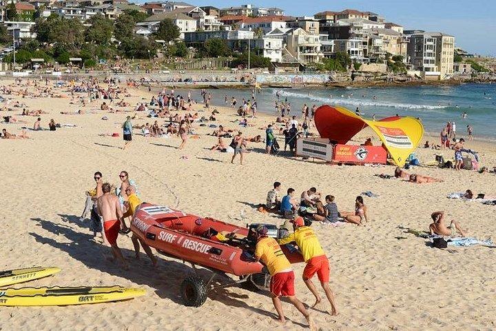 Sydney Sightseeing busstur med lokal Guide