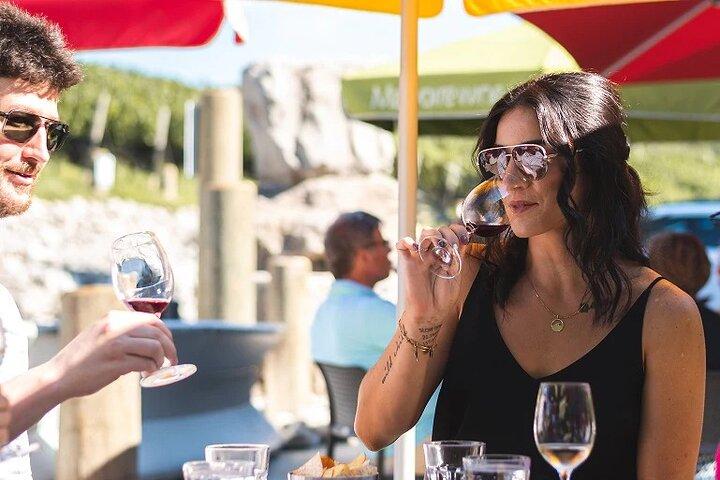 Tour del vino da Toronto al Niagara