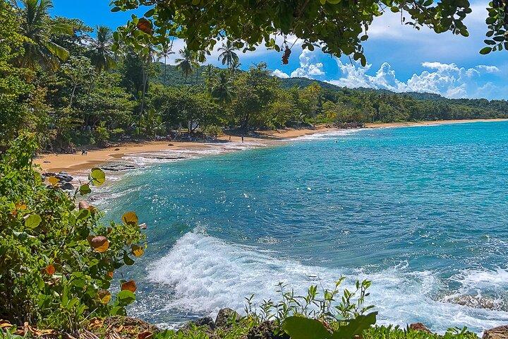 Fuld dag Puerto Plata: Blue Lagoon og forskellige destinationer