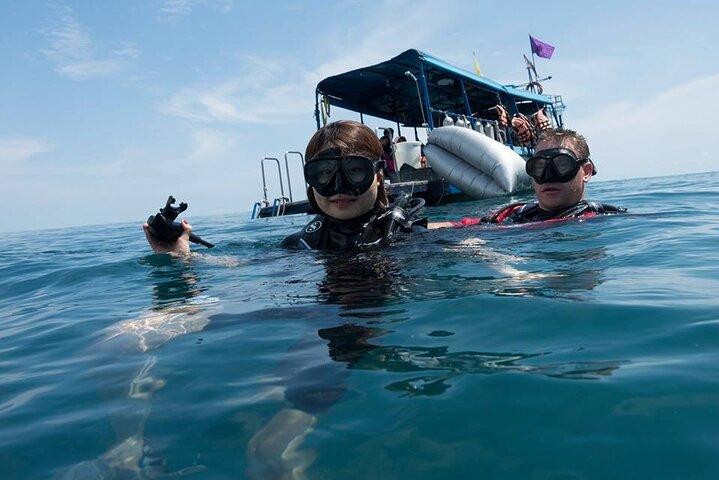 パタヤ PADI 初心者向けスキューバ ダイビング 1 回のダイビング深度 6 メートルとシュノーケリング )