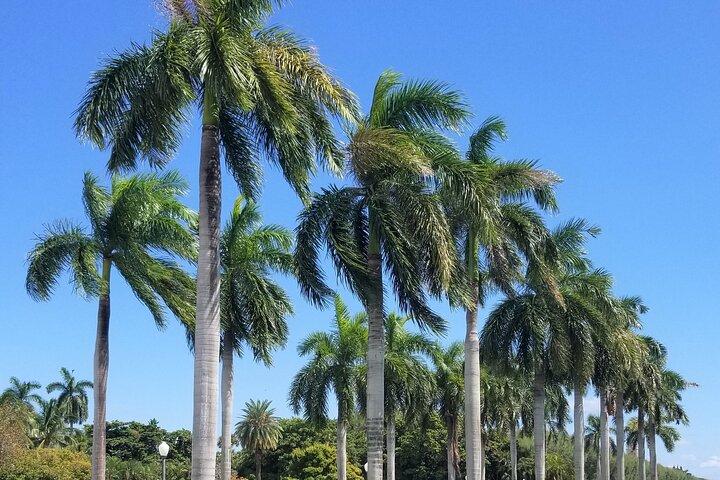 Palm Beach Tour from Miami - Flagler's Museum + Hotel Breakers