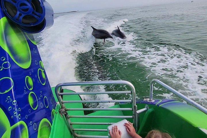 Croisière Dolphin à Destin FL
