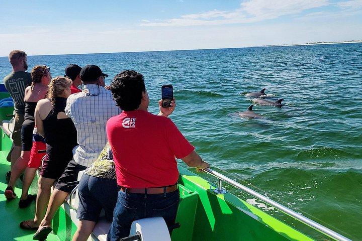 Croisière Dolphin à Destin FL