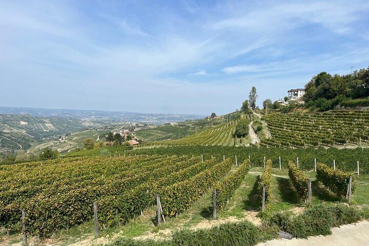 Privé Barolo-wijntour met wijnmaker uit Turijn