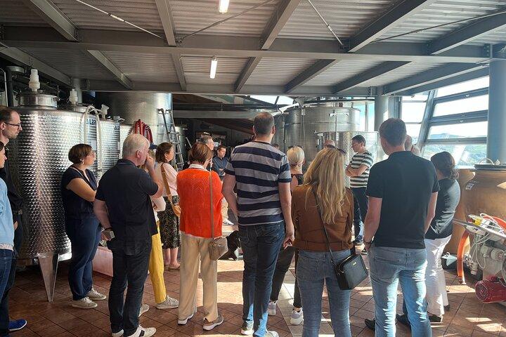 Privé Barolo-wijntour met wijnmaker uit Turijn