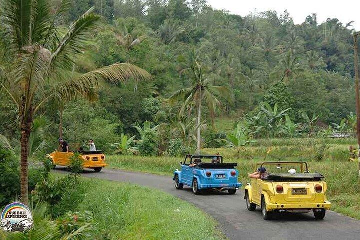 Mezza giornata Gulingan e Mengwi Temple Volkswagen Safari