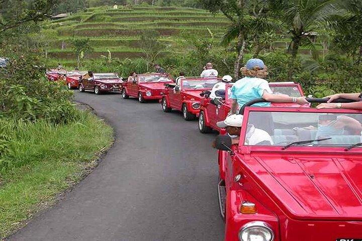 Mezza giornata Gulingan e Mengwi Temple Volkswagen Safari