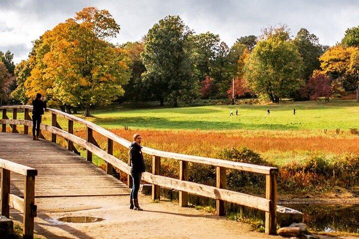 Excursión en coche privado de 3 horas desde Boston