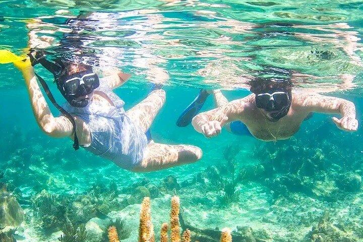O melhor de Roatan e acesso exclusivo à praia
