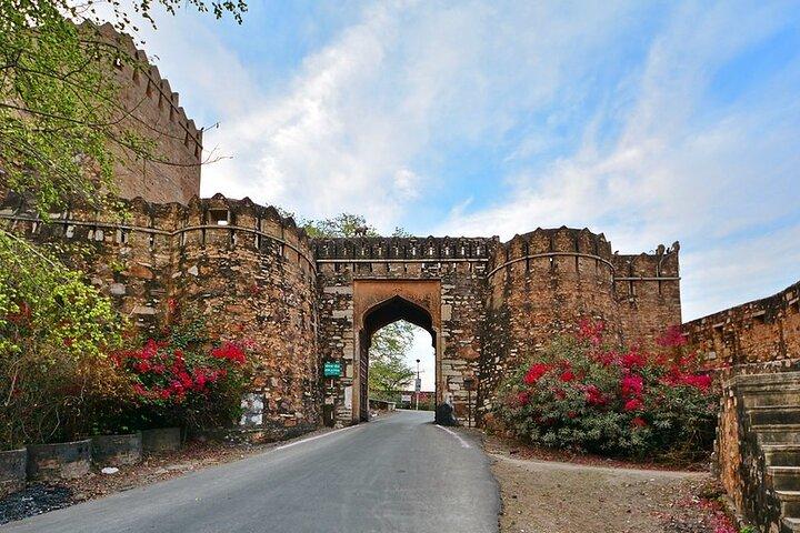 Privédagtrip naar Chittorgarh vanuit Udaipur met gidsoptie