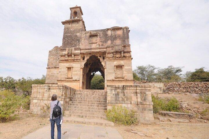 Privédagtrip naar Chittorgarh vanuit Udaipur met gidsoptie