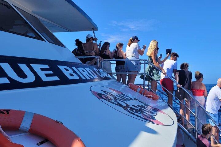 Croisière d'une demi-journée - Observation des dauphins et des baleines