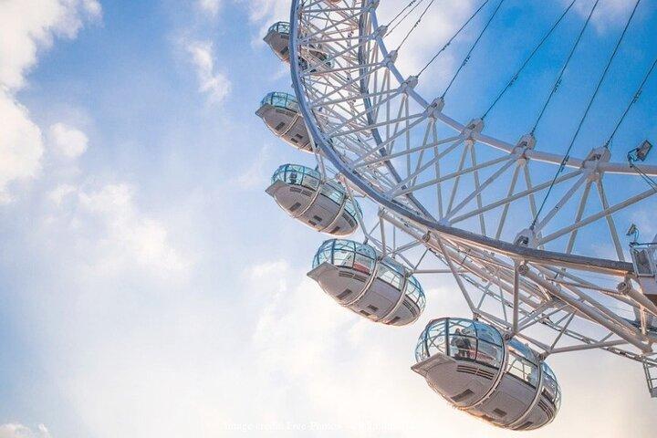 家族向けのロイヤル ロンドン : 半日プライベート ツアー & ロンドン アイ