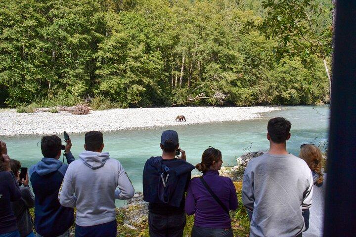 Grizzlybärenexpedition