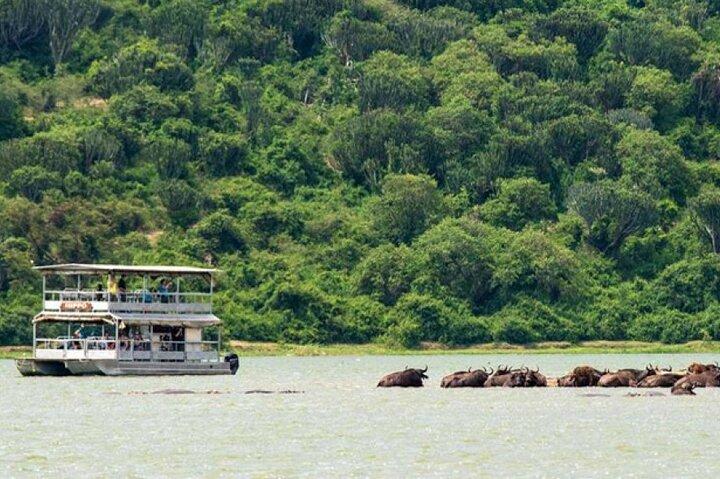 3 dagars gorillavandring Safaritur i Uganda