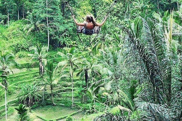 Ubud Private Tour