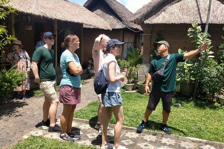 Ubud Private Tour