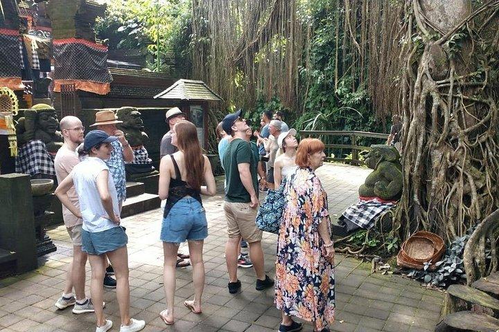 Ubud Private Tour