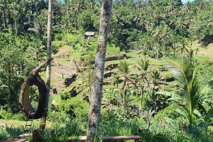 Ubud Private Tour