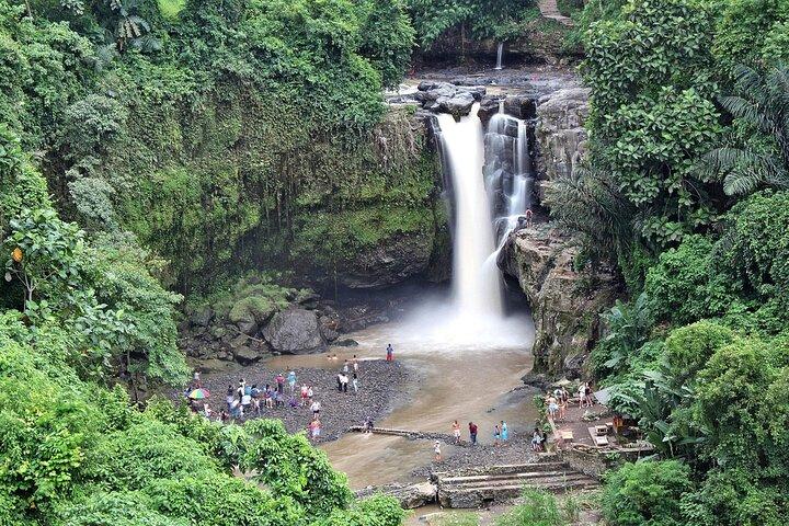 Tour durch Ubud & Bali Aloha Swing Experience