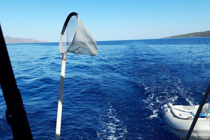 アテネ ギリシャ プライベート デイ クルーズ オールインクルーシブ 燃料 BBQ ミール