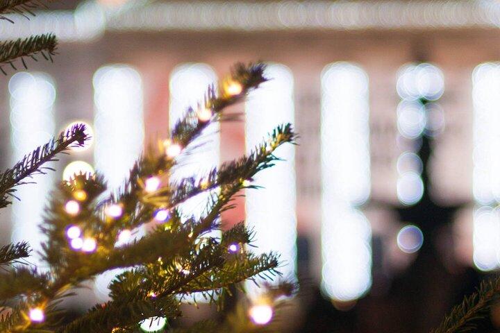 Lisbon by Night : クリスマスイルミネーションフォトウォーク with a local