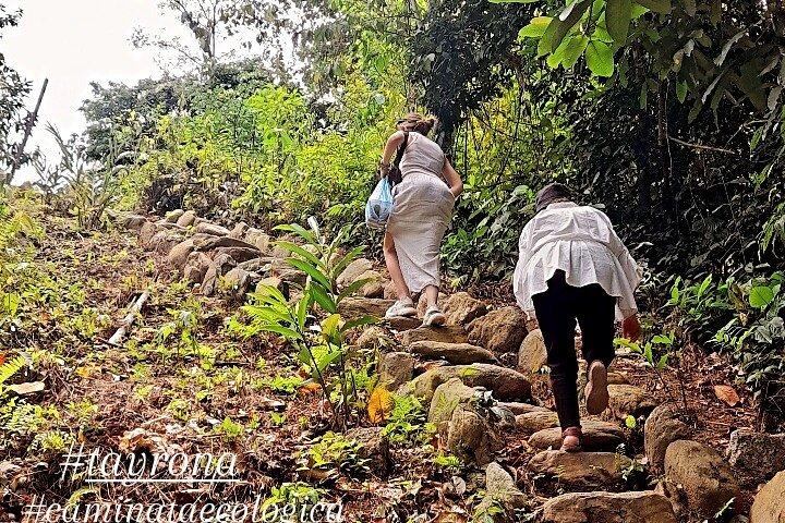 Santa Marta: Esperienza di equitazione vicino alla cascata