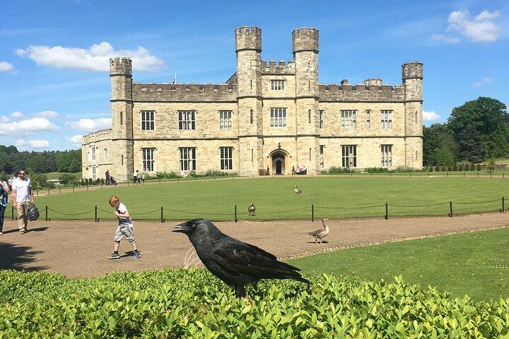 Excursão privada ao castelo de Leeds saindo de Londres com ingressos