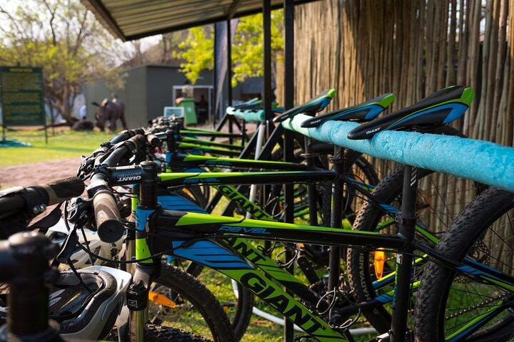ビクトリアフォールズの2時間自転車ツアー