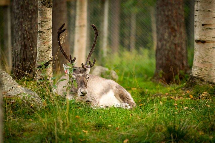ラヌア野生動物公園への旅