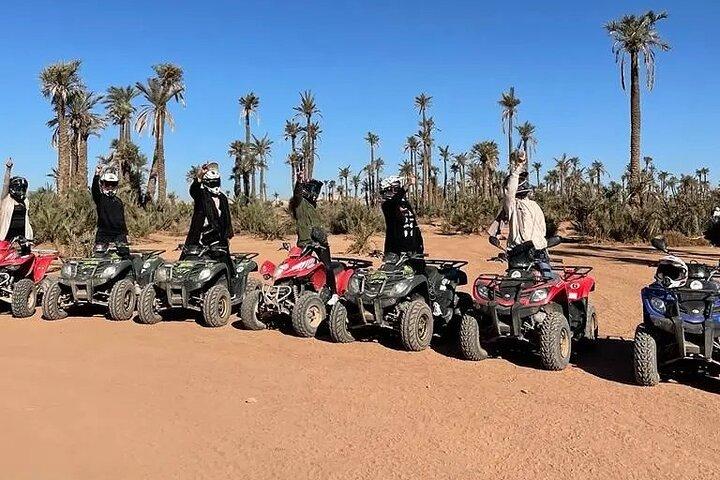 Sensational quad and camel ride in the palm grove