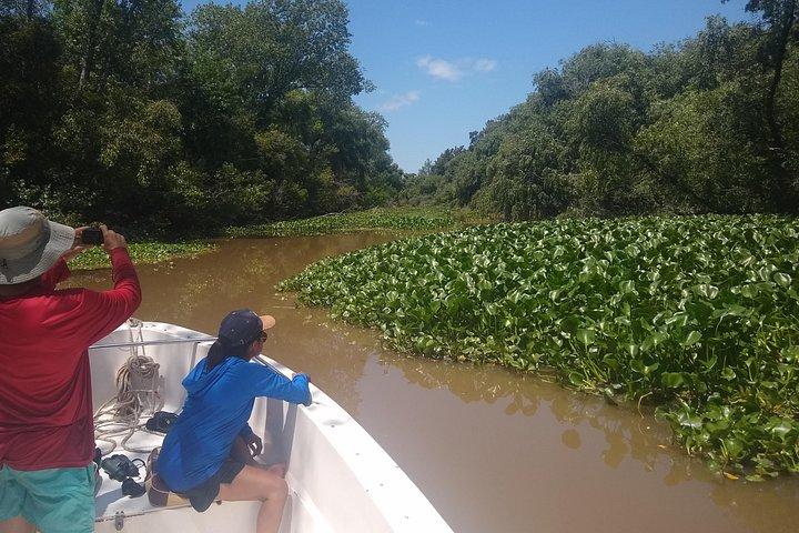 Safari náutico en tigre