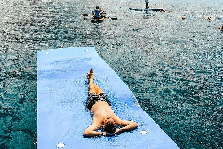 Swim with Dolphins Catamaran with Waterslide & Lunch on Oahu