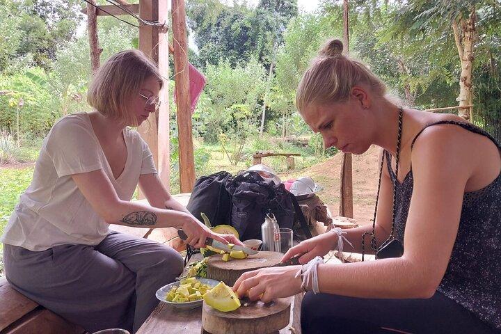 Visita de dia inteiro e cozinha na fazenda da família local e caminhada até as cachoeiras de Kuang si