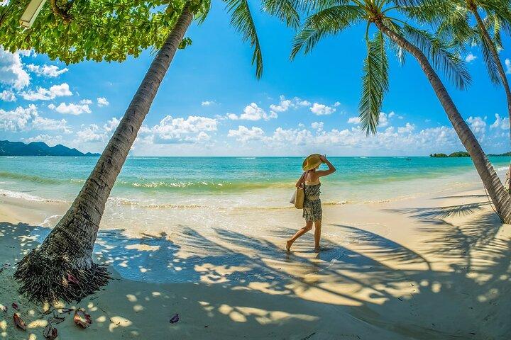 Örundtur runt Koh Samui Halvdags sightseeingutflykt
