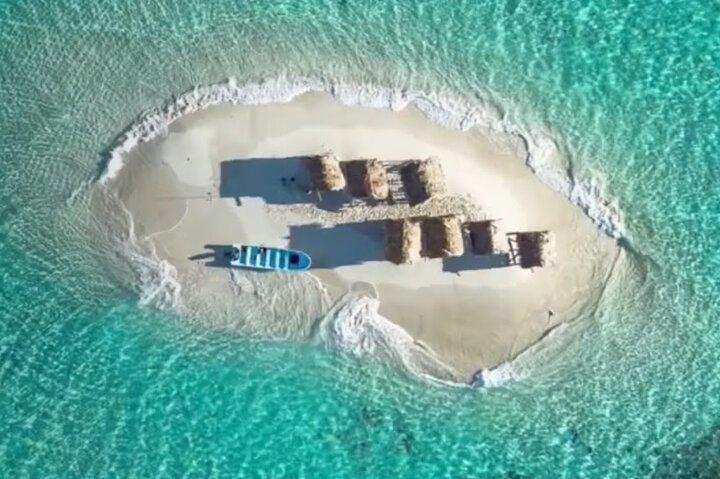 素晴らしいパラダイス島 + シュノーケリング、マングローブ ツアー & 地元の食事。