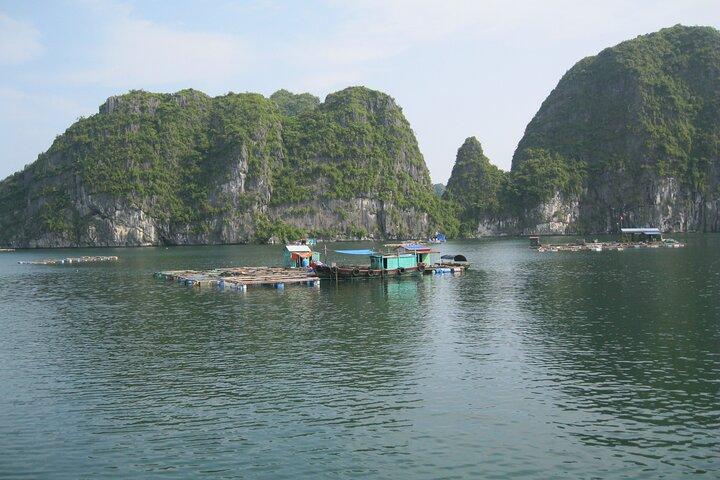 Paket: Buss Ha Noi till Cat Ba + 1 dags båttur, La Ha Bay, Ha Long Bay