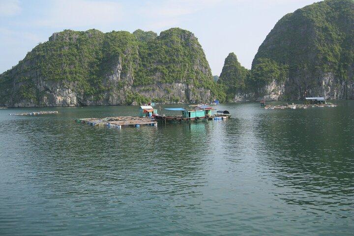Kombination: Buss Ha Noi till Cat Ba + 1 dags båttur, La Ha Bay, Ha Long Bay