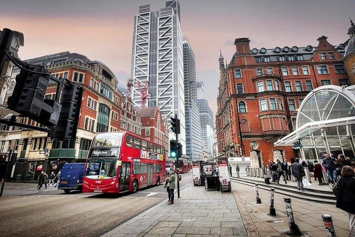 Londres: Visite privée d'une journée incluant les laissez-passer d'entrée